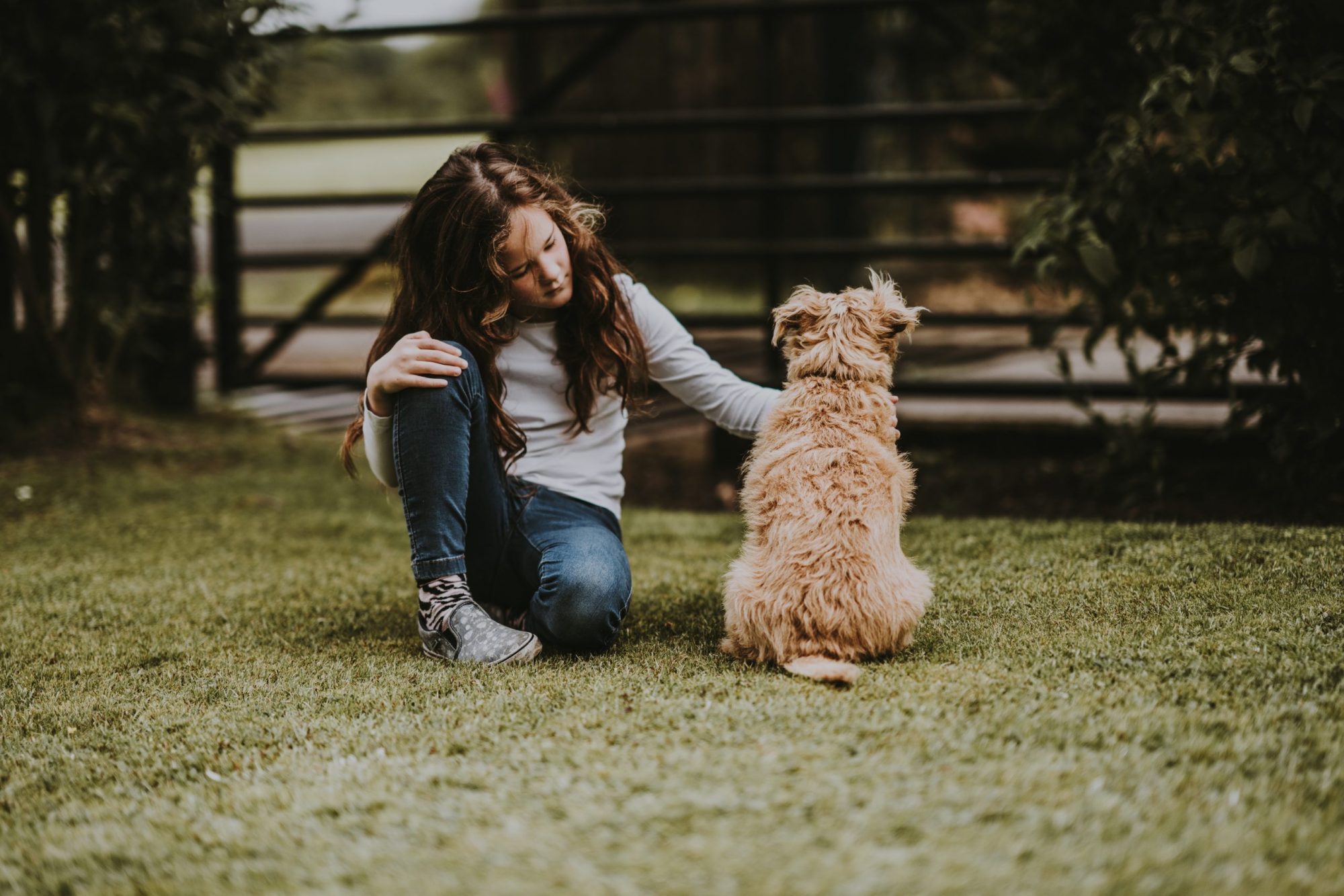 Can dogs improve our mental health? 